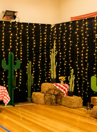 Fairy Light Backdrops