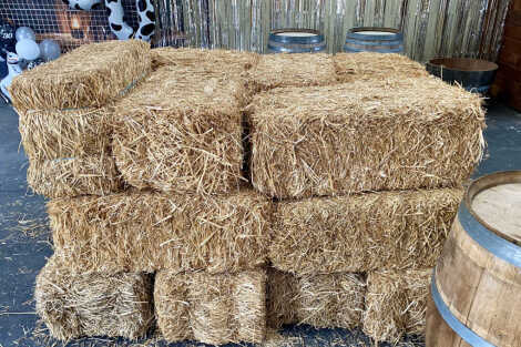 Hay Bale Package   - Large (50)