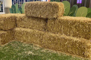 Hay Bale Package   - Large (50)