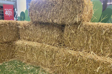 Hay Bale Package - Medium (30)