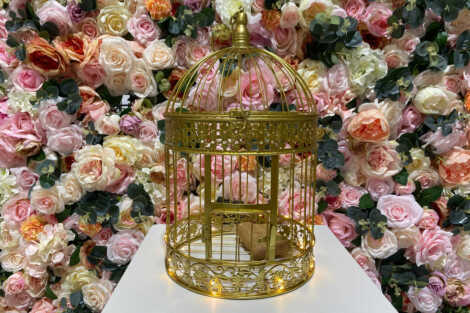 Gold Birdcage Wishing Well