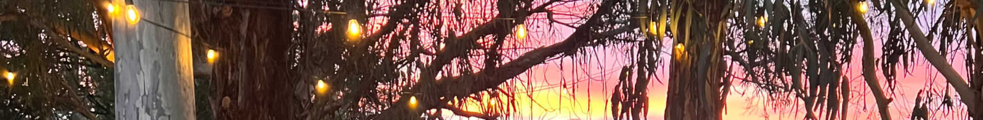 Festoon lights in front of a country sunset